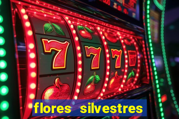 flores silvestres desbravadores desbravadores 25